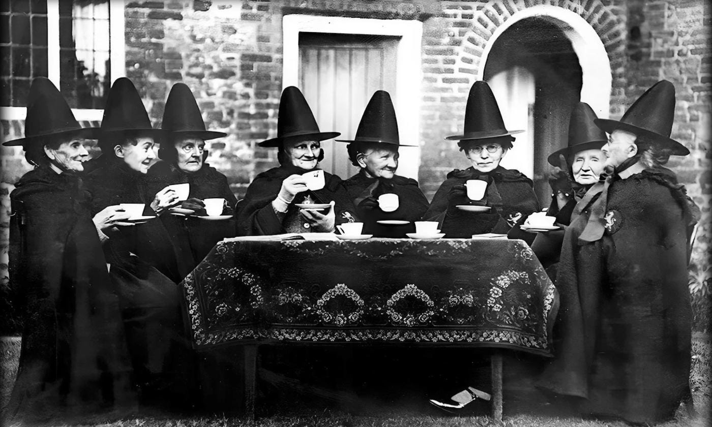 Witches Night In | Visit St. Augustine