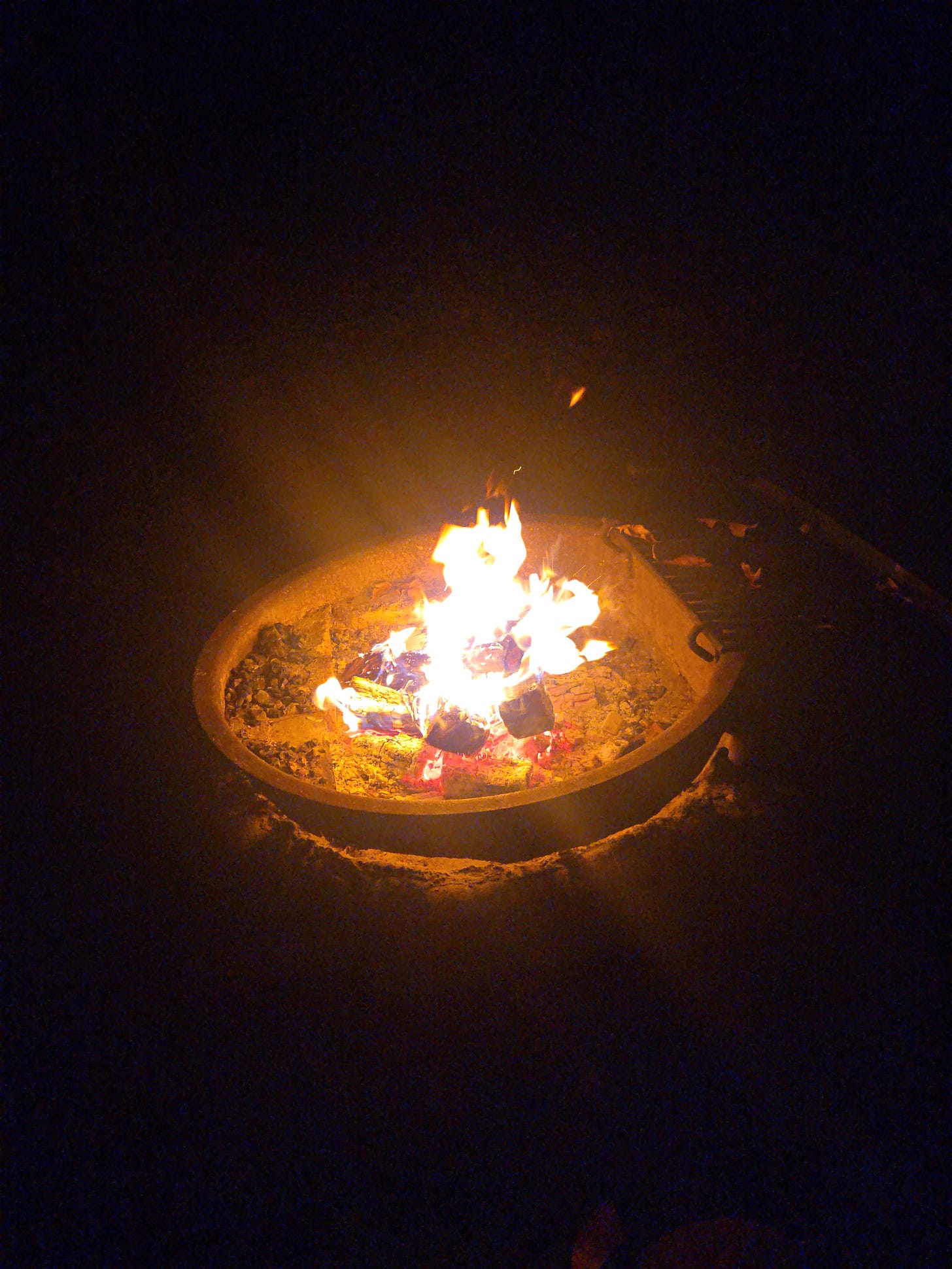 amidst a pitch black background, an orange campfire burns brightly.
