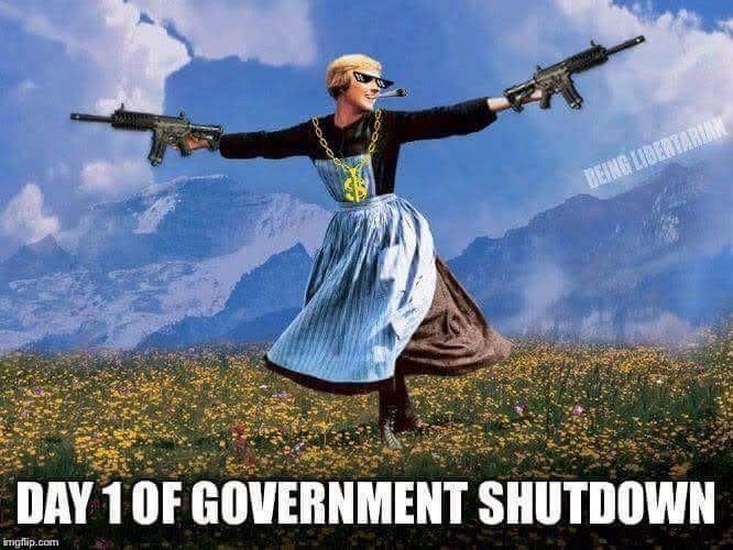 A person in a blue and white dress and black vest, holding two submachine guns, standing in a field of flowers with mountains and a blue sky in the background. The text "END OF GOVERNMENT SHUTDOWN" is visible on the image.