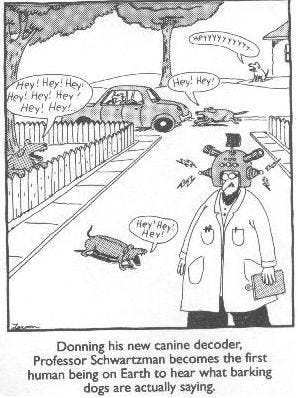 dog translator | Far side cartoons, Far side comics, The far ...