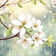 Dogwood of June