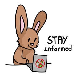 Bunny Doctor Vector Images (over 240)
