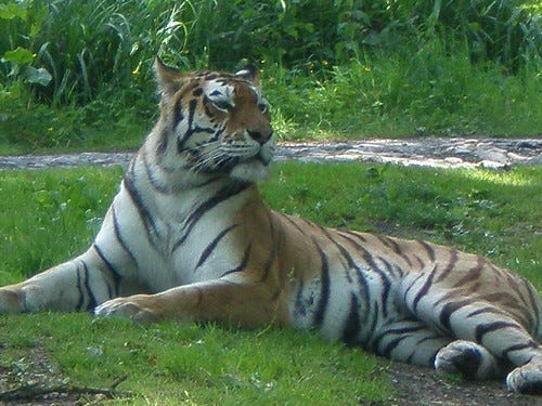longleat 092 longleat 092