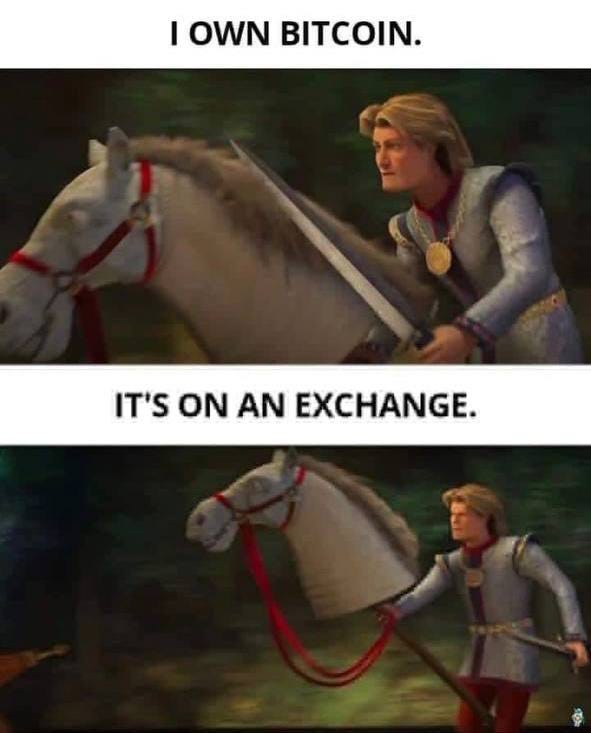 Bitcoin on X: "Remember, not your keys; not your coins ...