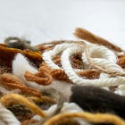 Untangle the Strands of Perception