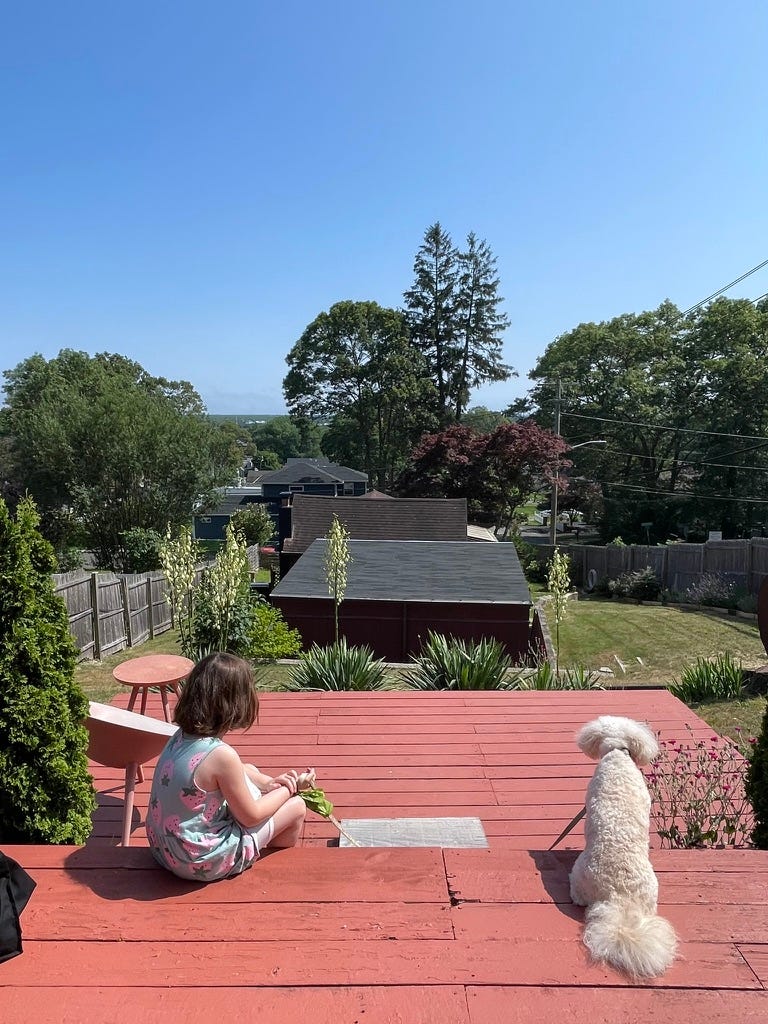 Girl and dog on a deck