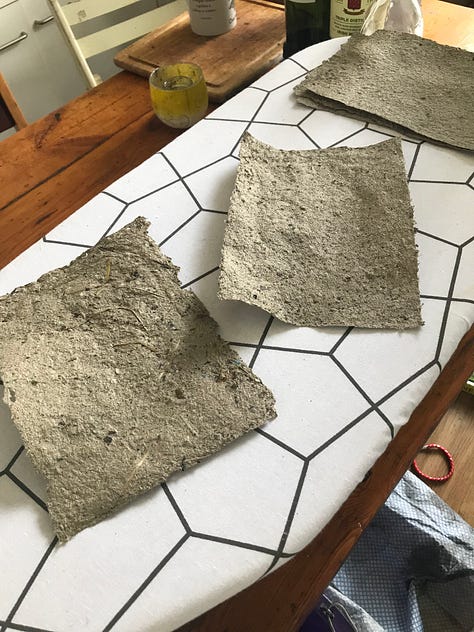 Paper making goat poo art craft -