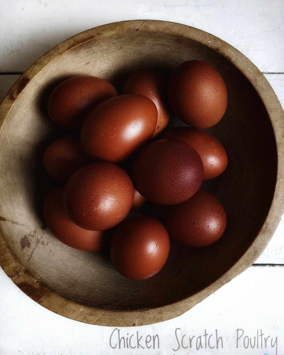 French Black Copper Marans Fertile Hatching Eggs - Chicken Scratch Poultry