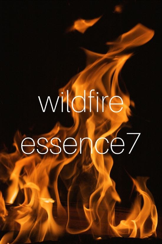 wildfire wildfire