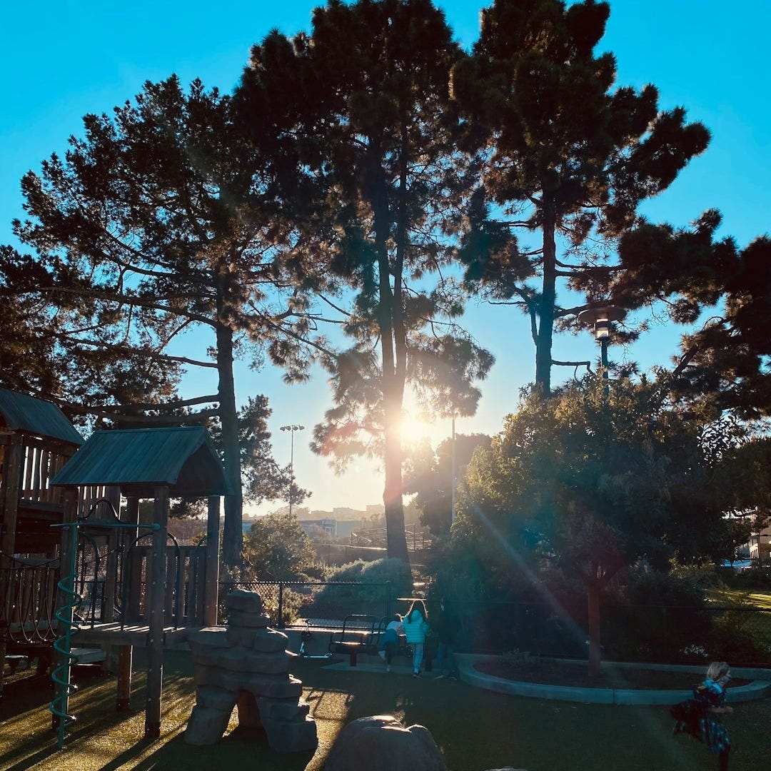 people walking on sidewalk near trees during daytime