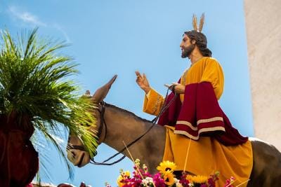 Palm Sunday Palm Sunday