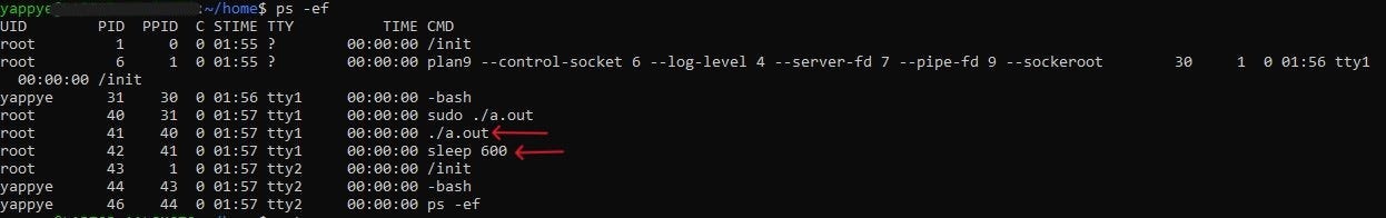 command 1 output in the terminal