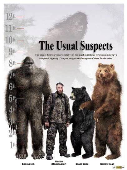 The Usual Suspects