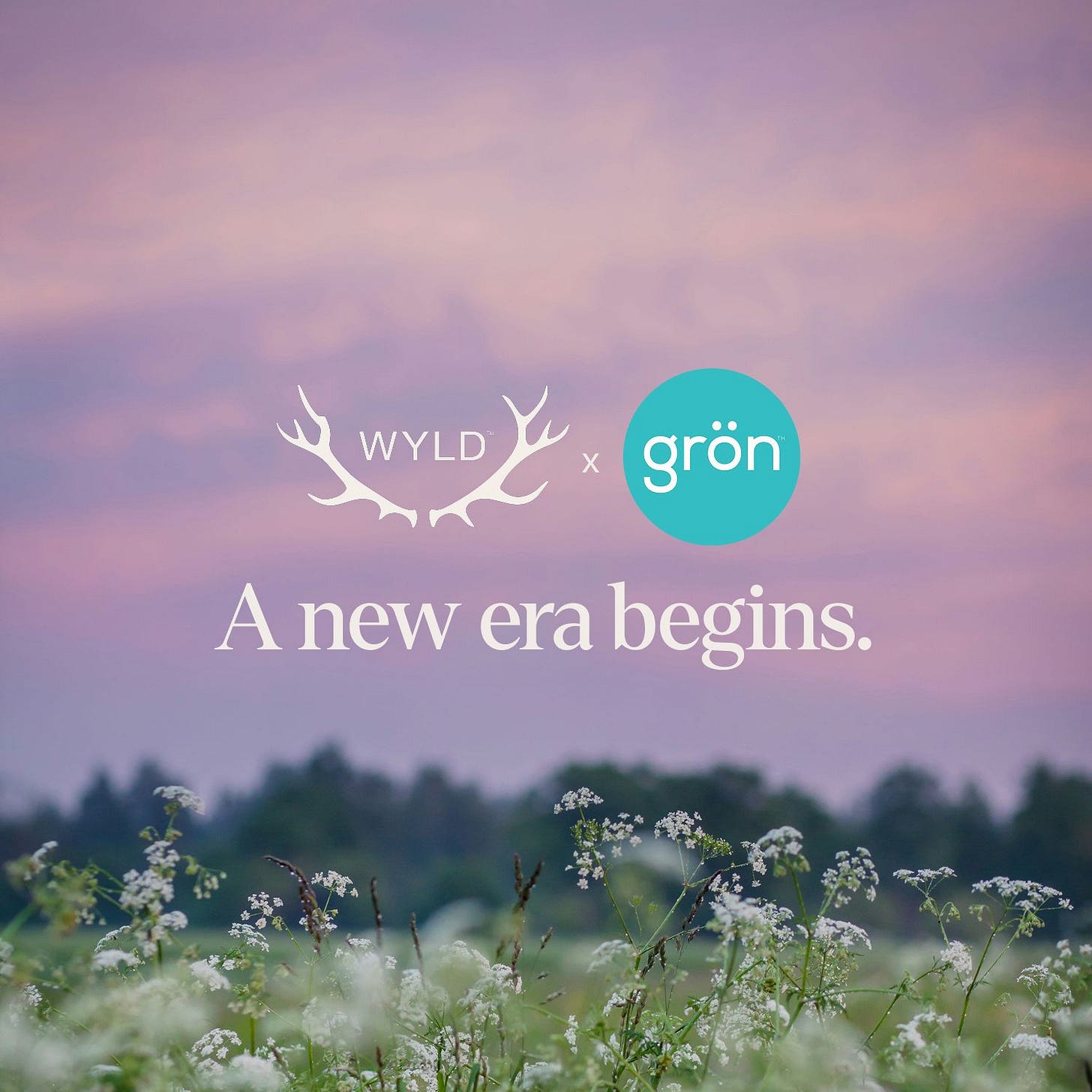 No alternative text description for this image No alternative text description for this image