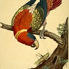 La langue artificielle et le péril de la pensée assistée