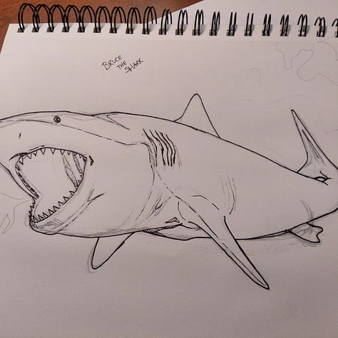 sketches of a shark and fish