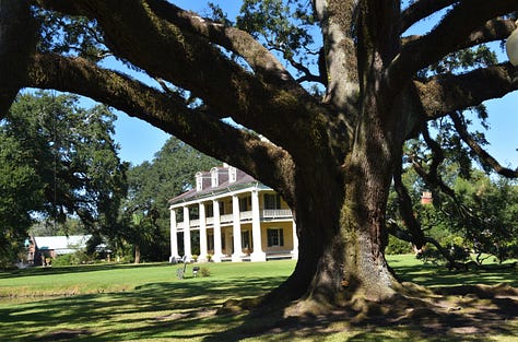 Three pictures showing the outside of the Houmas House plantation, a large 2 and a half story structure with four pillars and a balcony on each side. There is a large tree and a pond in the foreground of two of the photos.