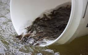 Smallmouth Bass Study to Inform Future ...