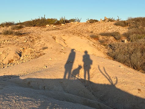 Photos of Liz, Seth, and the dogs in Baja