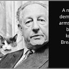 Donald Woods Winnicott