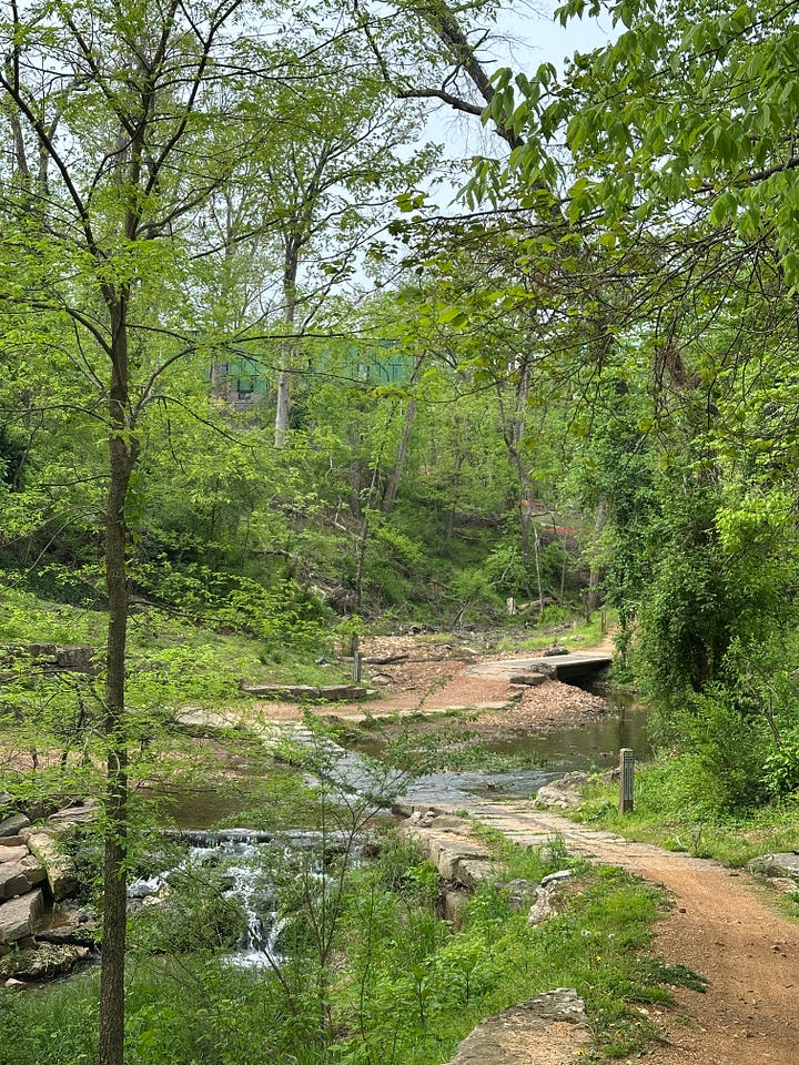 Some of the biking trails in Bentonville