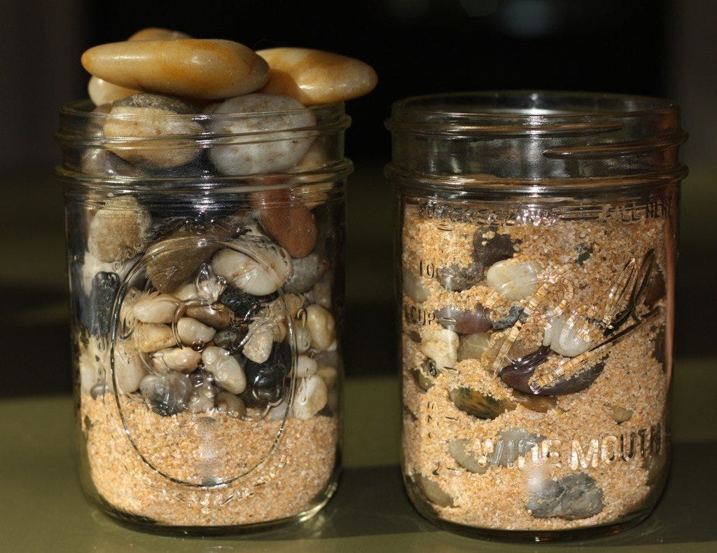 What Are The Big Rocks In Your Life? - Wealthcare for Women