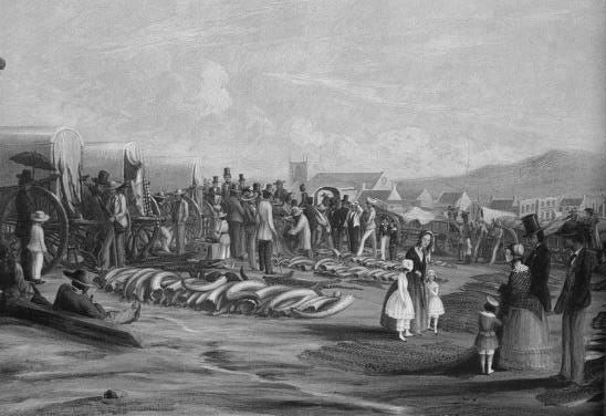 Ivory market, Grahamstown Ivory market, Grahamstown