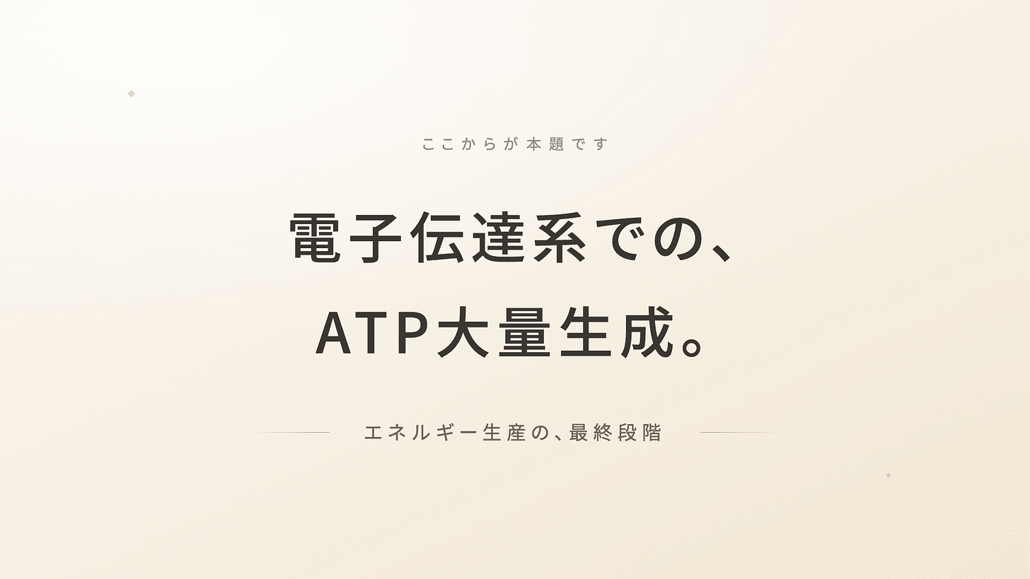 解糖系クエン酸回路電子伝達系 | 精密栄養学 解糖系クエン酸回路電子伝達系 | 精密栄養学