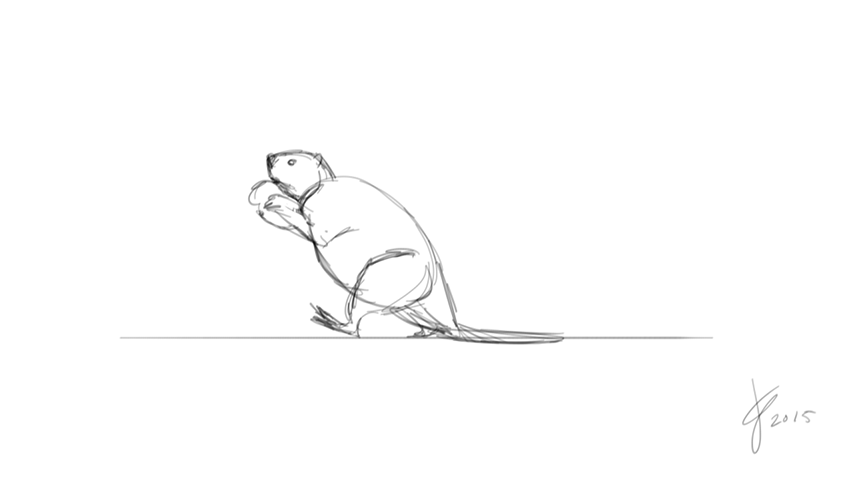 [animate output image]