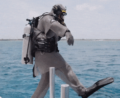 Discovery Dive GIF by Shark Week Discovery Dive GIF by Shark Week
