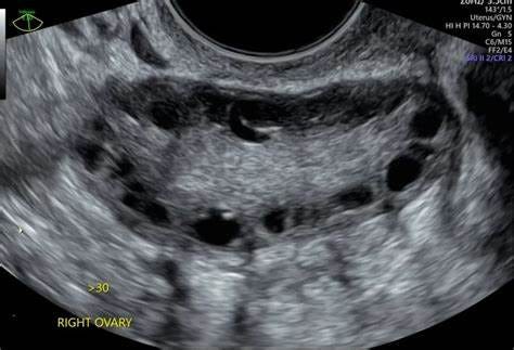 mireproductivemedicine.com