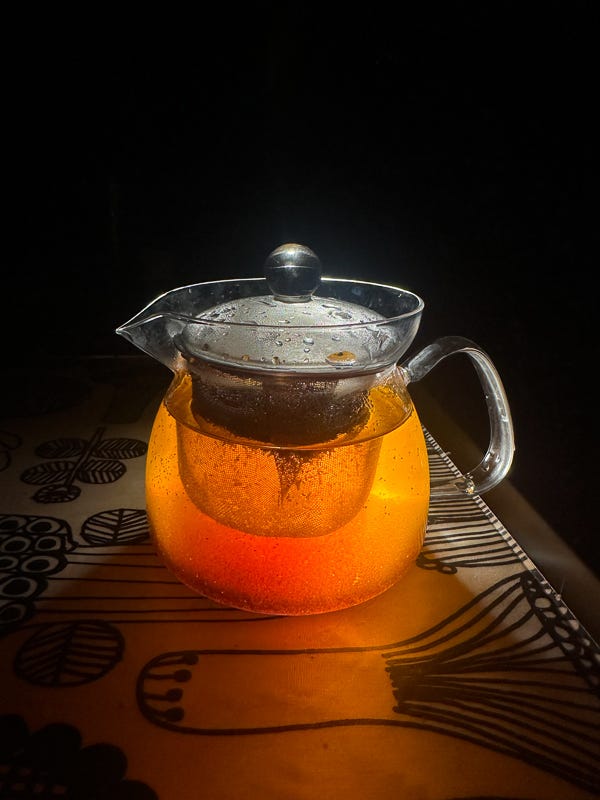 My Everyday Life Week 12 of 2025- Tracy Benjamin of Shutterbean.com