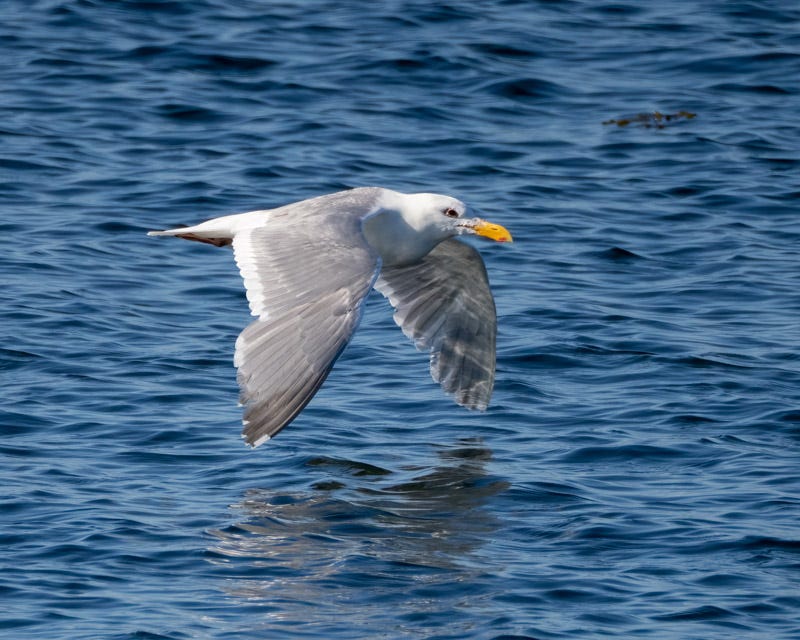 20250610-SJI3-1182-Edit.jpg 20250610-SJI3-1182-Edit.jpg