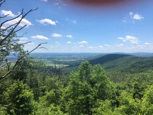 Best trails near Lambs Knoll | AllTrails