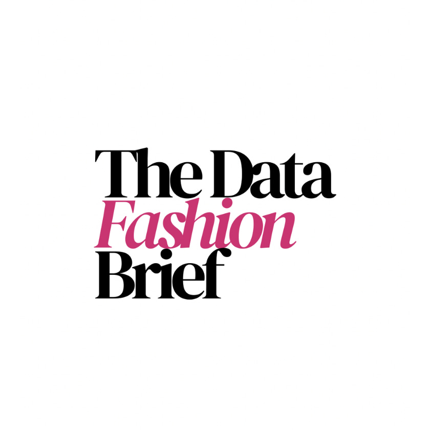 THE DATA FASHION BRIEF logo