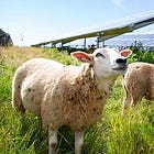 The Solar Shepherd 