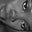 Feranmi.longe's avatar