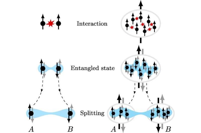 Experiment shows Einstein-Podolsky-Rosen paradox scales up Experiment shows Einstein-Podolsky-Rosen paradox scales up