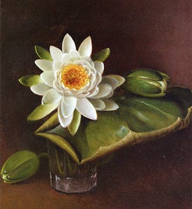 Still Life with Water Lily, 1872, David Johnson (cropped) Still Life with Water Lily, 1872, David Johnson (cropped)