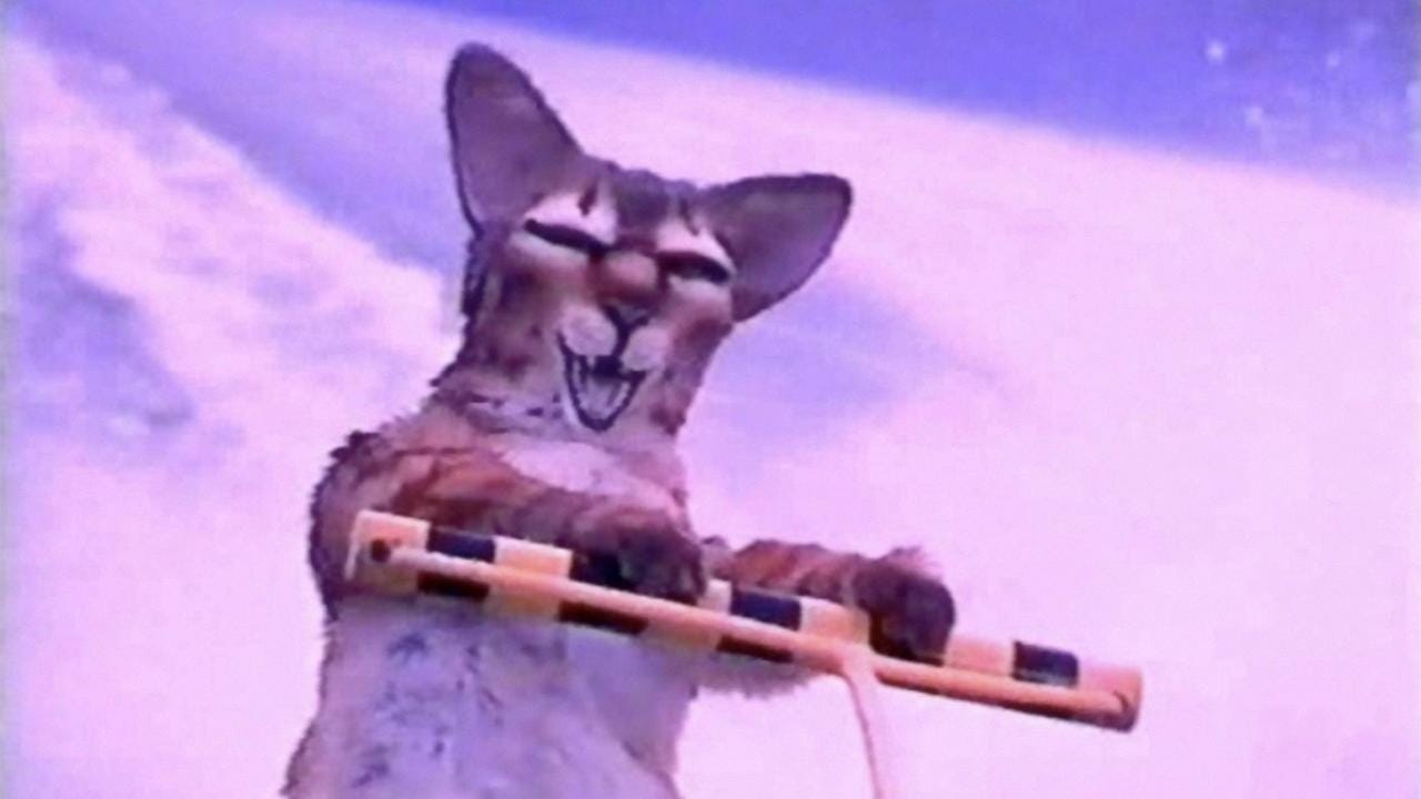 Rubin and Ed (1991) | MUBI