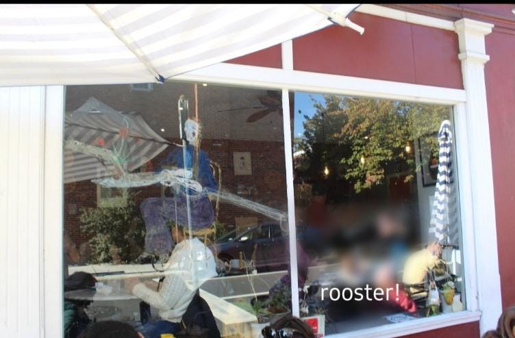 A window with a person in the window

Description automatically generated with medium confidence