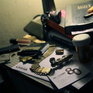 section_80 section_80