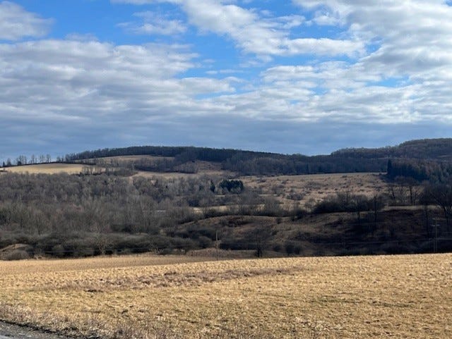 IMG_4690.jpg