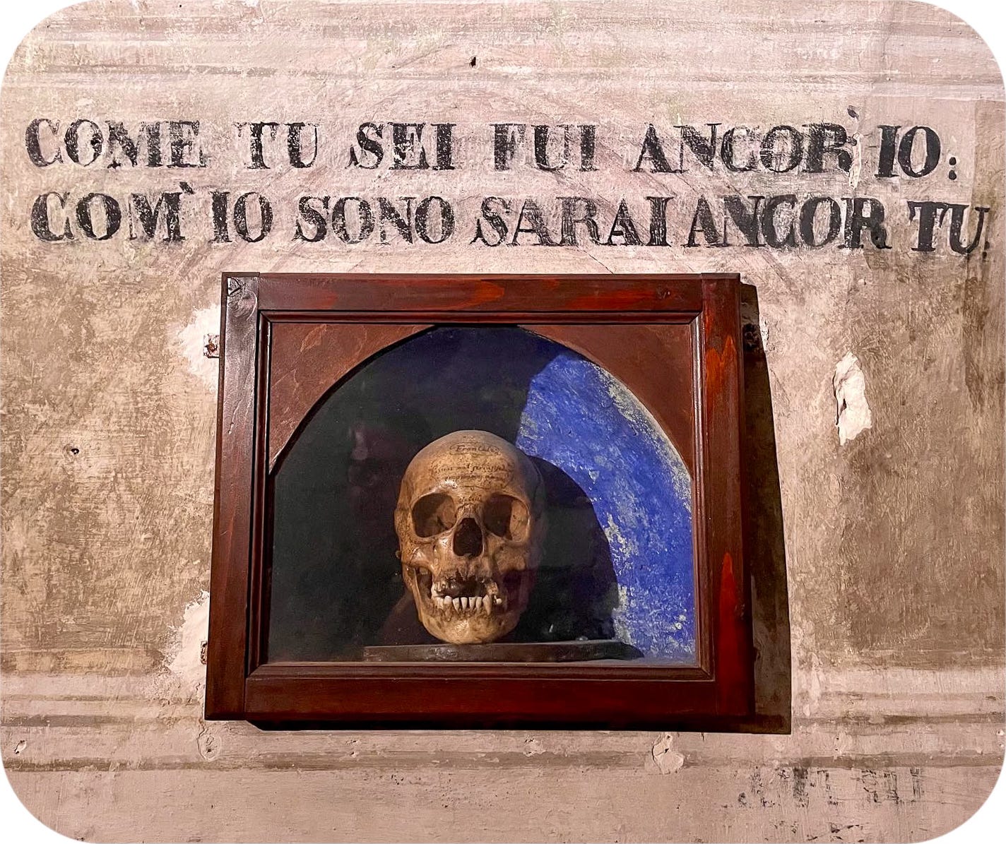 Skull with grafitti. Siena, Italy