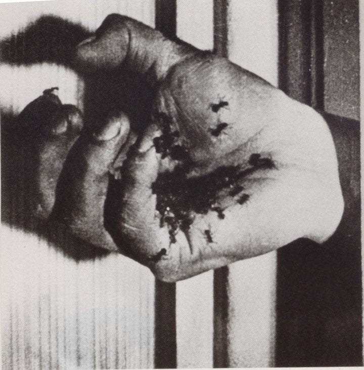 Surrealism, symbols and sexuality in Un Chien Andalou (1929) and L'Age d'Or  (1930) | Silent London