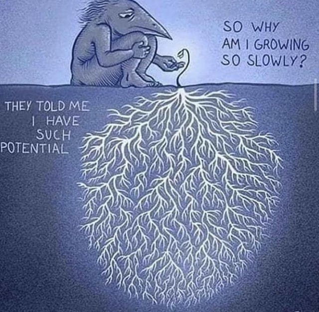 r/infp - a cartoon of a bird sitting on a tree
