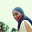 Benita Ejimofor's avatar