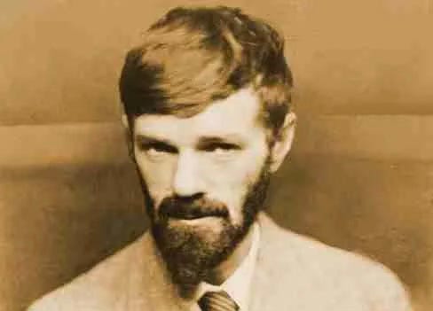 その他 D.H.Lawrence:Literature,History,Culture D.H. Lawrence | Book by Jeffrey Meyers | Official Publisher Page