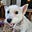 terrie A Doty's avatar
