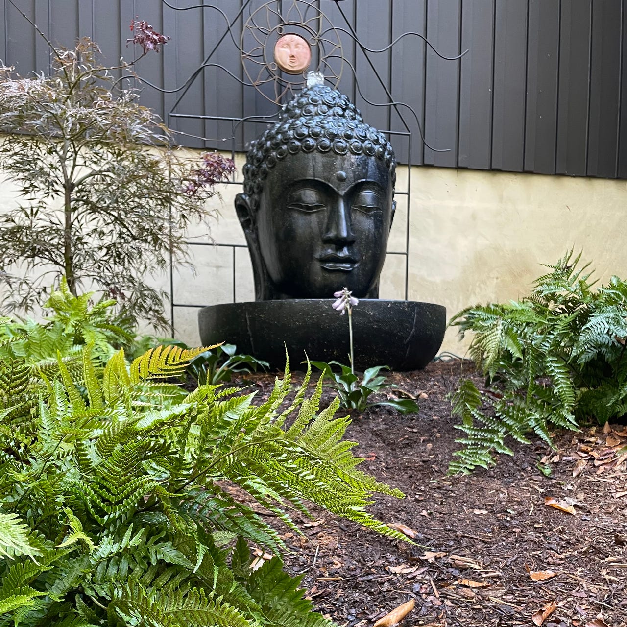 Live from the Black Cypress Lounge 